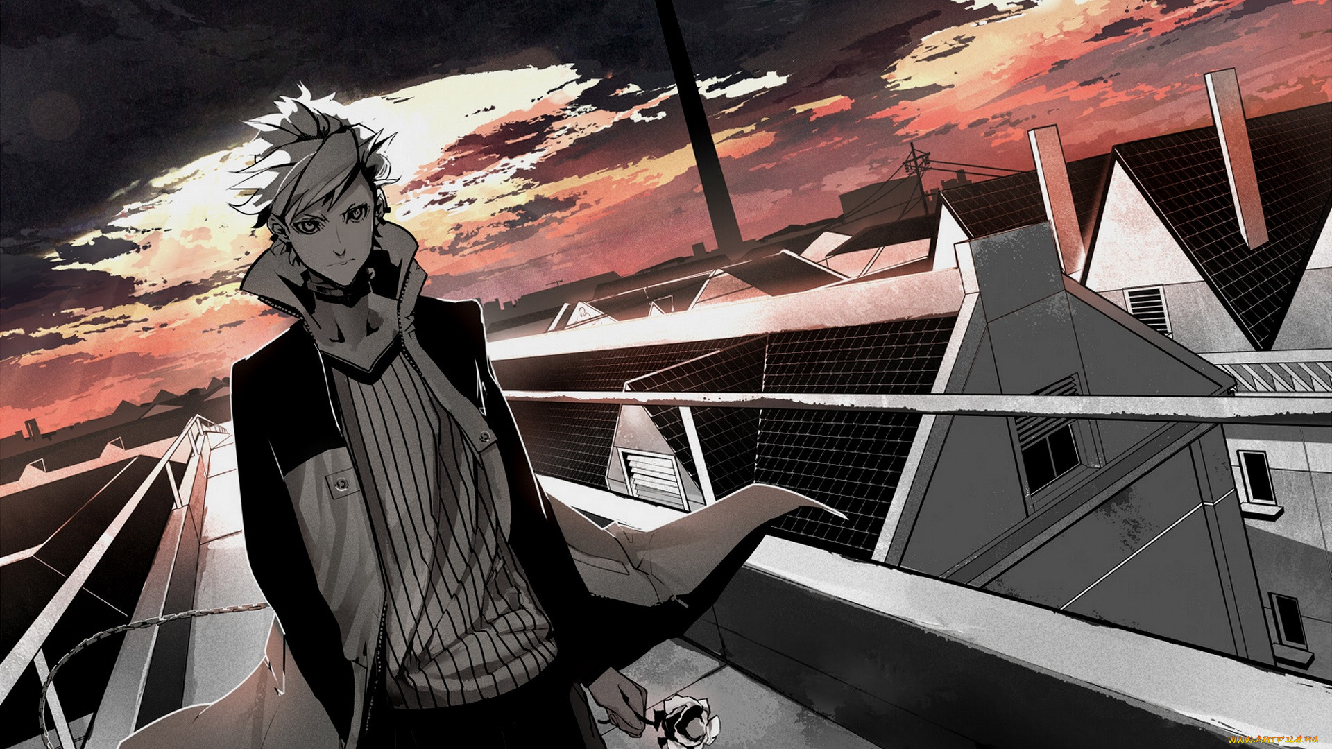 , dogs,  bullets & carnage, , 